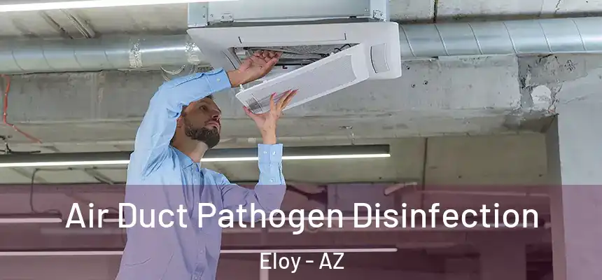  Air Duct Pathogen Disinfection Eloy - AZ