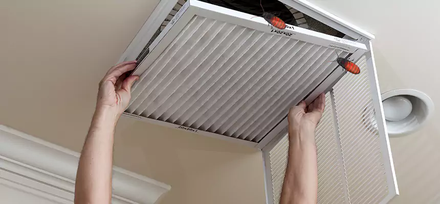 Preventive Cockroach-Proofing for Ducts in Eloy