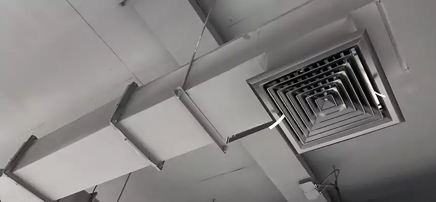 Our Rodent Droppings In Vents Services in Eloy, AZ