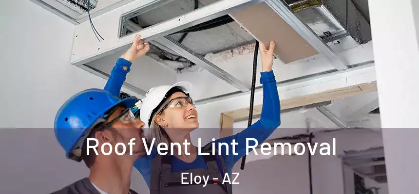  Roof Vent Lint Removal Eloy - AZ
