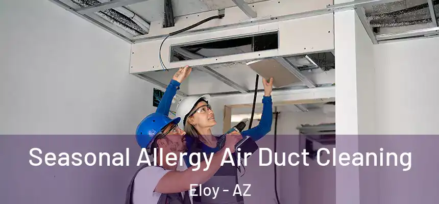  Seasonal Allergy Air Duct Cleaning Eloy - AZ