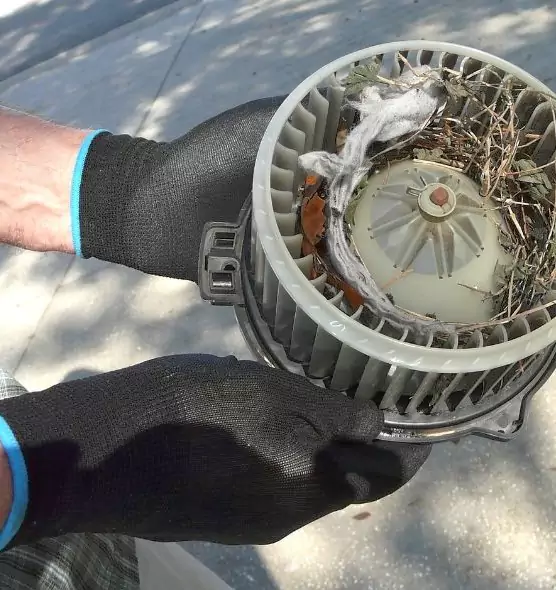 About Air Duct Mice Removal in Eloy, AZ