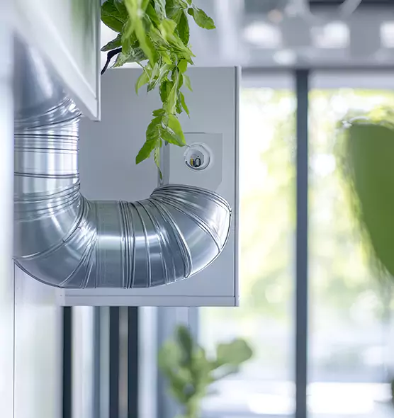 Professional Eco-Safe Dryer Vent Cleaning in Eloy, AZ