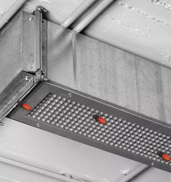 Affordable Insect Removal from Air Ducts in Eloy, AZ