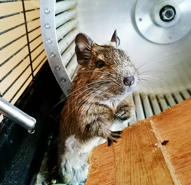 Why Homeowners & Businesses Trust Us Eloy, AZ