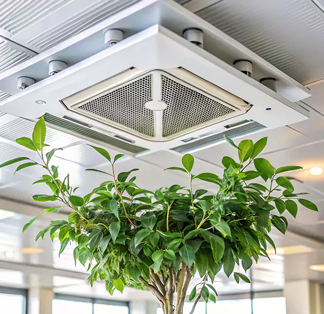 Why Homeowners & Businesses Trust Us in Eloy, AZ?