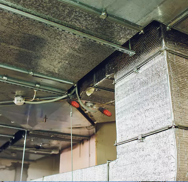 Why Homeowners & Businesses Trust Us Eloy, AZ?